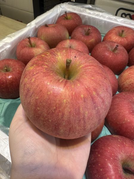 [紅潤爽脆甘甜不酸]日本青森蜜富士蘋果 日本青森蜜富士蘋果