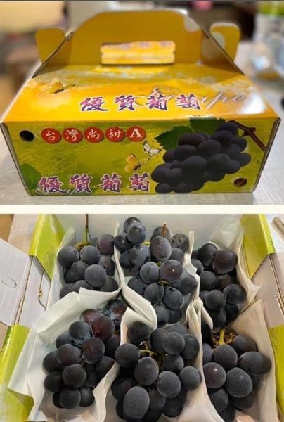 [甘甜醇厚水潤多汁]彰化網室蜜巨峰葡萄 台灣葡萄,巨峰葡萄