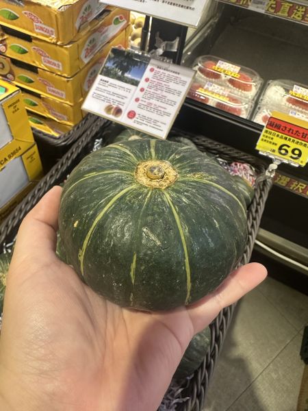 [簡單調理香甜綿軟]南投日本品種吊網貝貝南瓜 
