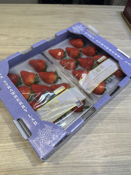 日本藍盒古都華草莓 日本藍盒古都華草莓