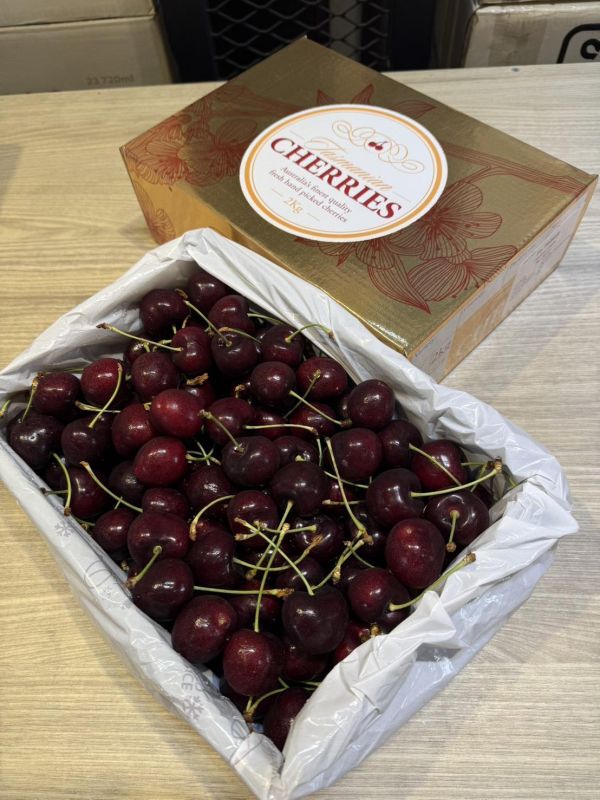 [甘甜濃郁幾乎不酸]澳洲金三花塔斯馬尼亞櫻桃 澳洲金三花踏塔斯馬尼亞櫻桃