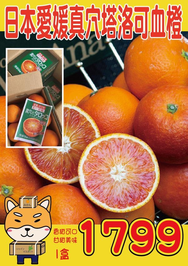 [琥珀色澤甘甜醇厚]日本愛媛真穴塔洛可血橙 タロッコ．ブラッド．オレンジ 愛媛蜜柑,日本蜜柑,日本小橘子,地中海血橙,Blood Orange