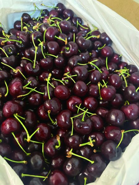 [甜酸濃郁超人氣][嚐鮮盒]美國華盛頓海運櫻桃 US-WA Cherries 西北櫻桃 加州櫻桃,華盛頓櫻桃,美國櫻桃,西北櫻桃
