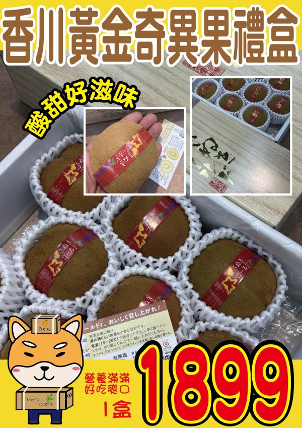 [果形巨大甘甜飽滿][禮盒式]日本香川讚岐金黃金奇異果 さぬきゴールド さぬきゴールド,黃金奇異果,日本奇異果,キウイ,奇異果,香川,キウイフルーツ
