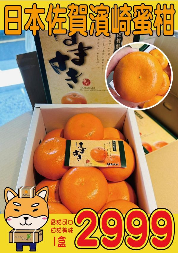 [甘甜香氣十足]日本佐賀濱崎蜜柑 日本佐賀濱崎蜜柑