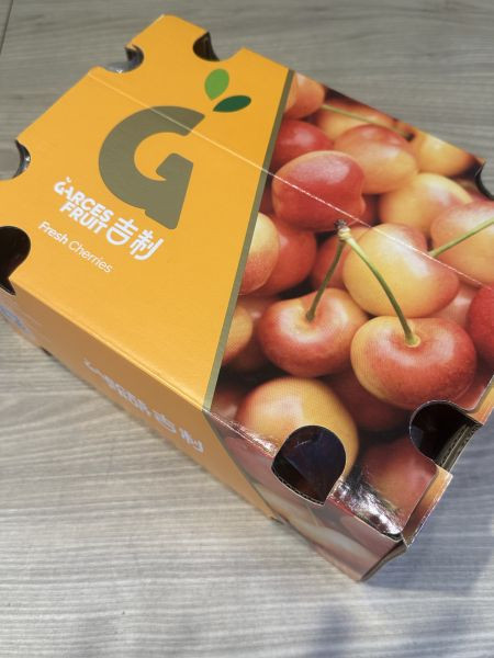 [脆甜清爽超人氣][品牌會更換]智利空運蕾妮爾白櫻桃整箱裝 Chile Rainier Cherries 智利櫻桃,空運櫻桃,紐西蘭櫻桃,塔斯馬尼亞櫻桃,紅櫻桃,白櫻桃