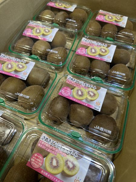 [質感厚實甘甜芳香]日本香川紅心奇異果嚐鮮盒 日本香川紅心奇異果嚐鮮盒