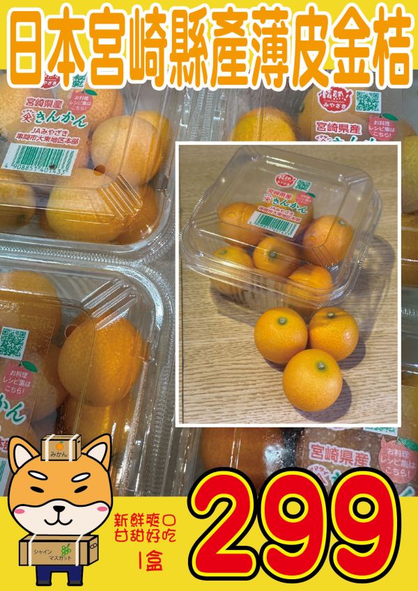 [連皮可食甜酸均衡]日本宮崎極甘完熟金桔 金棗 きんかん 日本橘子,蜜柑,金桔,きんかん,補血,潤肺顧氣管