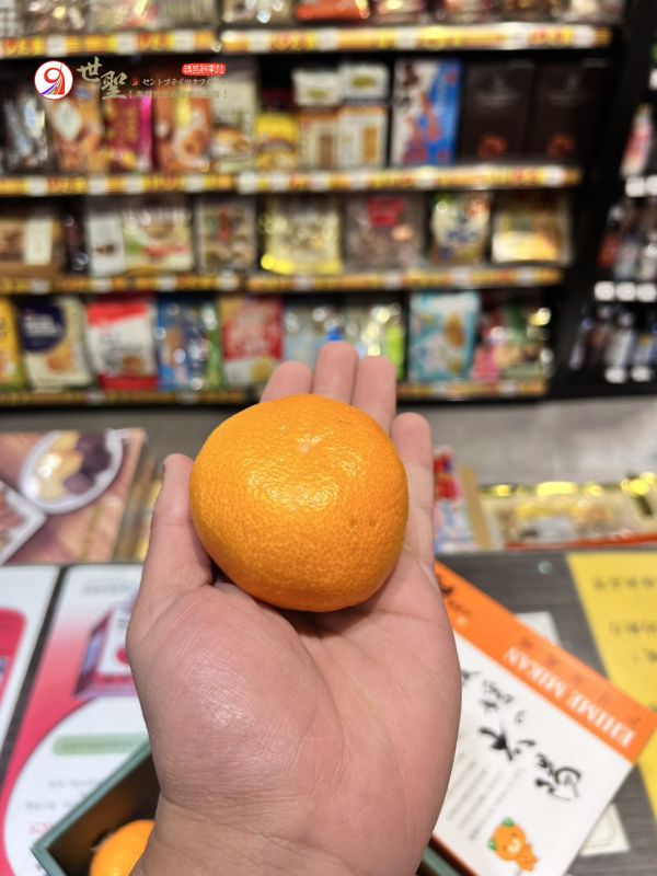 [皮薄無籽甜酸濃郁]日本愛媛太陽蜜柑 愛媛の太陽みかん 愛媛蜜柑,日本蜜柑,日本小橘子,無核橘,えひめみかん