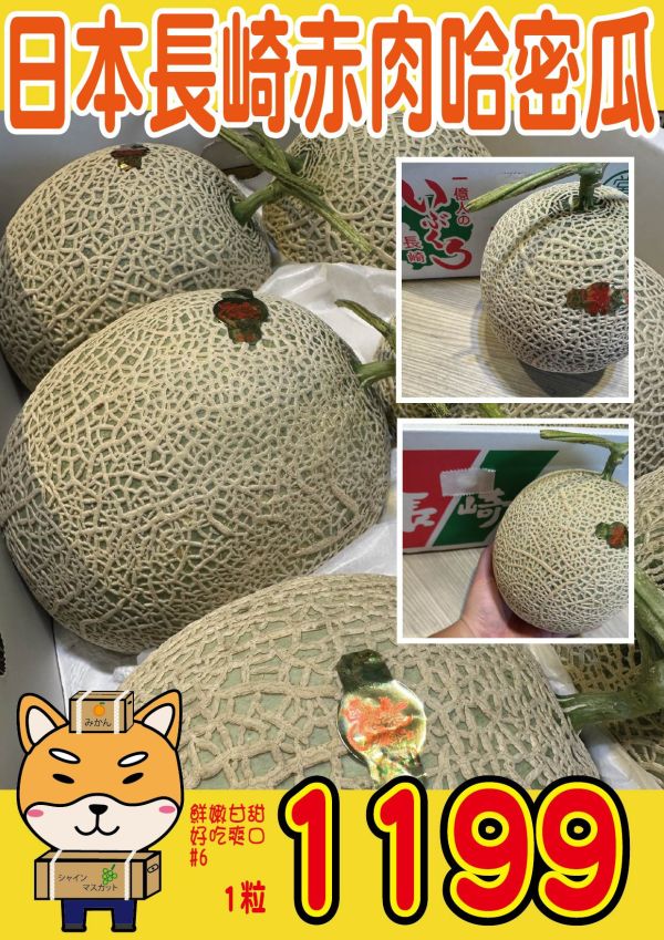 [香甜可口]日本長崎赤肉哈密瓜 日本長崎赤肉哈密瓜