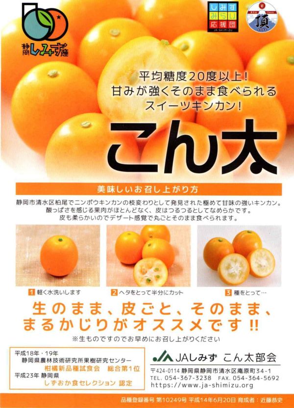 [連皮可食甜酸均衡]日本靜岡頂級金桔 日本靜岡頂級金桔