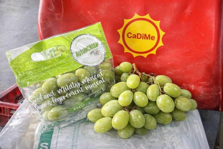 [清爽甘甜香氣特別]CADIME秋脆 CADIME秋脆