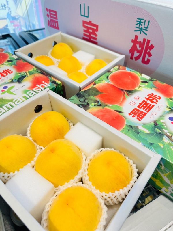 [金黃外表風味特別]日本山梨溫室黃金水蜜桃 黃金桃 日本山梨一桃匠頂級溫室水蜜桃
