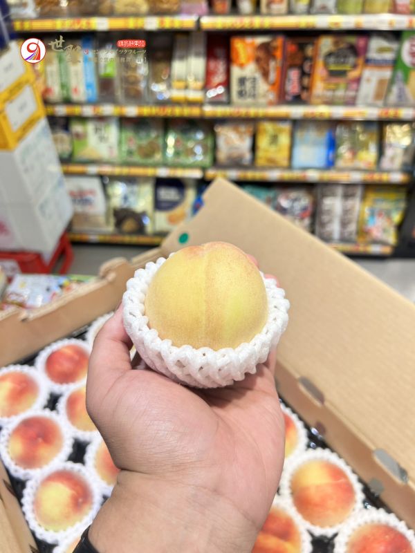 [極致多汁甘甜濃郁][整箱]美國加州壽康水蜜桃 Socome Peach 美國水蜜桃,加州水蜜桃,空運水蜜桃,加州桃李,壽康桃,岡山溫室,貴妃水蜜,翠玉水蜜,金香水蜜