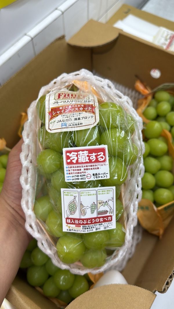 [甘甜香氣佳][整串]日本長野溫室麝香葡萄 シャインマスカット 長野麝香葡萄 日本麝香,麝香葡萄,シャインマスカット