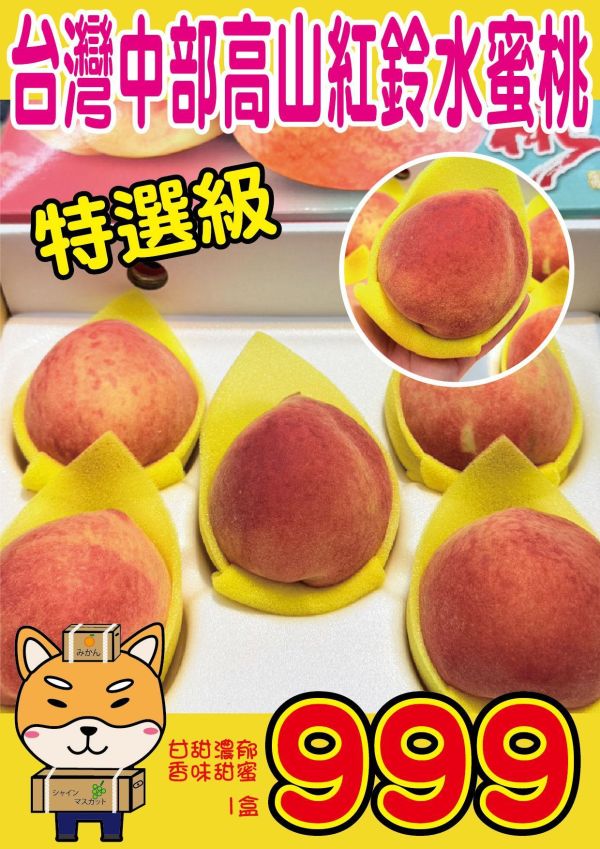 [香氣豐富細緻甘甜]台灣中部高山紅鈴水蜜桃 台灣中部高山紅鈴水蜜桃