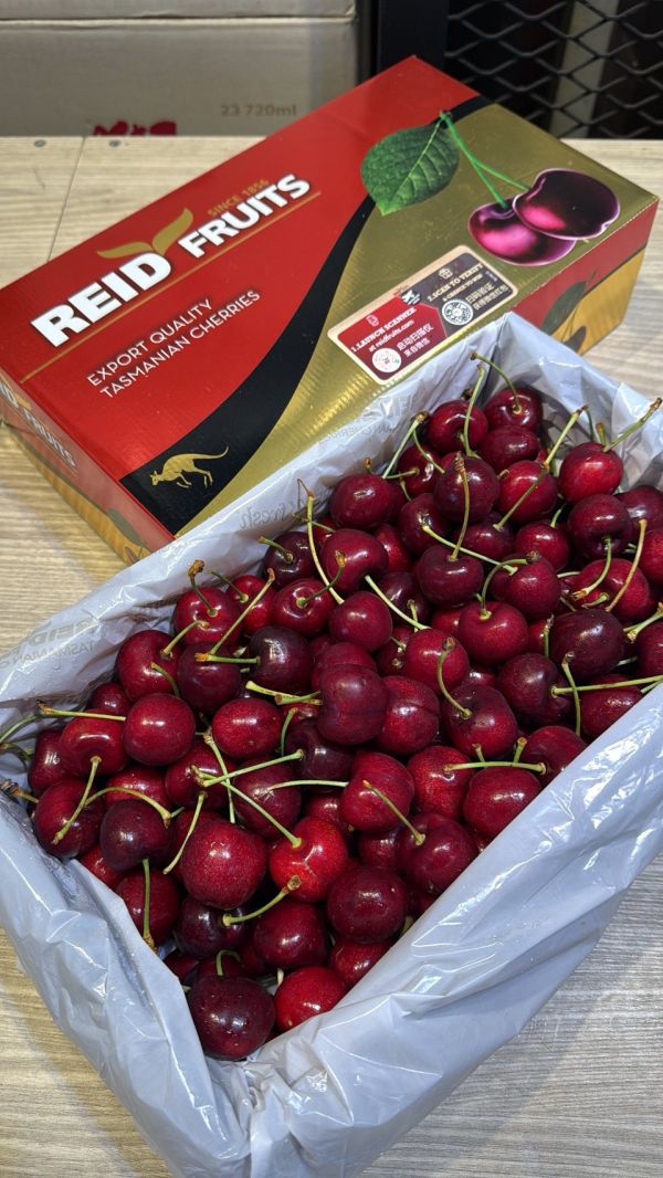 [甘甜濃郁幾乎不酸]澳洲塔斯馬尼亞金袋鼠櫻桃 澳洲塔斯馬尼亞金袋鼠櫻桃