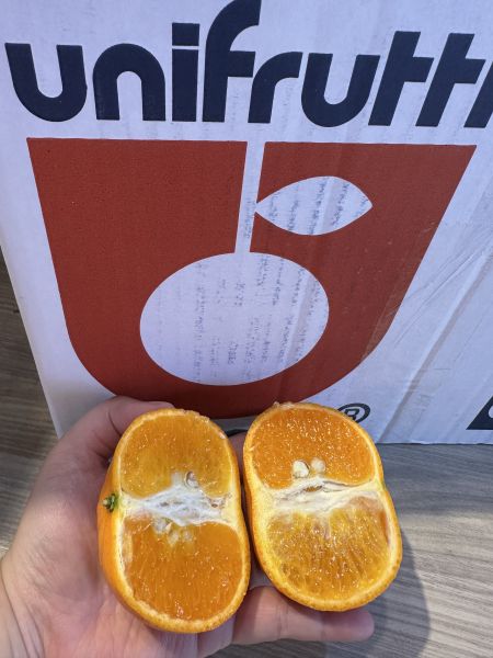 [橘紅果肉]澳洲爆汁茂谷 澳洲爆汁茂谷