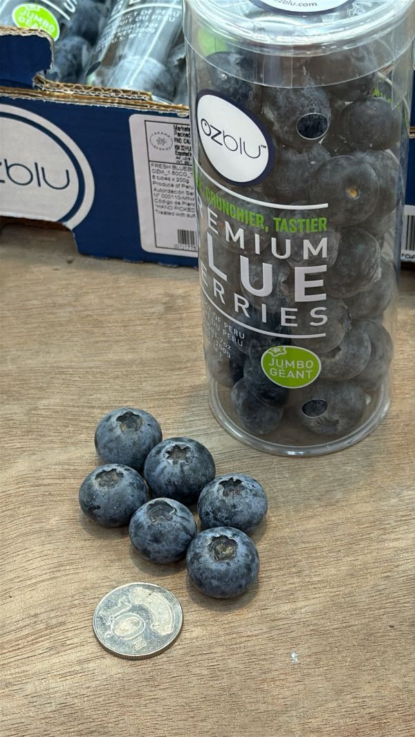 祕魯管裝藍莓 祕魯管裝藍莓