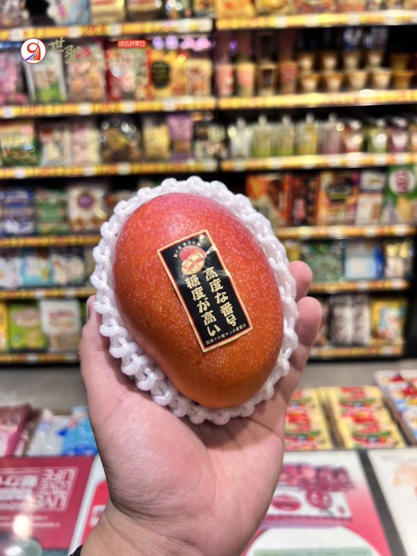 [汁多豐富濃郁香甜][零售單顆]屏東枋山艷之夏愛文芒果 珍珠芒果,迷你芒果,愛文芒果,枋山芒果,艷之夏芒果