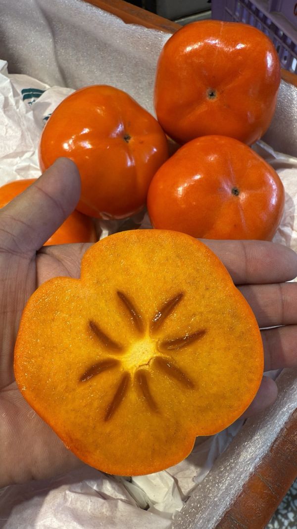 [綿軟香甜風味濃郁]台灣梨山高海拔蜜甜柿 台灣梨山高海拔蜜甜柿