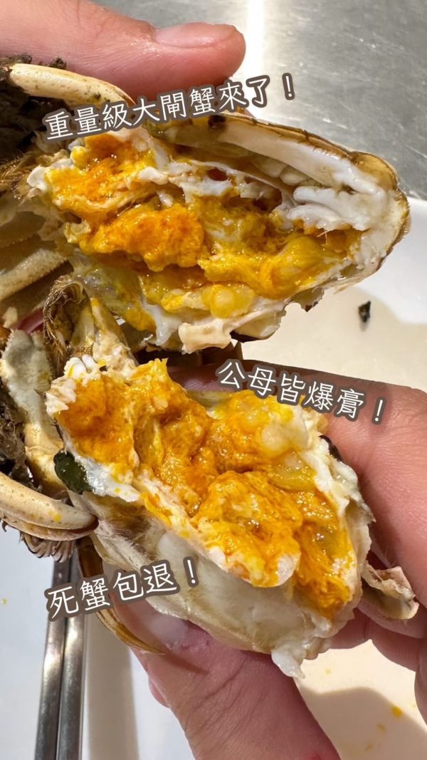 [濃郁鮮美]江蘇洪澤湖大閘蟹 江蘇洪澤湖大閘蟹