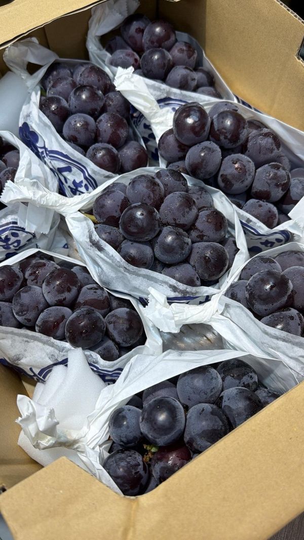 [甘醇濃郁無籽][整串規格]日本福岡貓眼葡萄 比歐內葡萄 ピオーネ 貓眼葡萄,巨峰葡萄