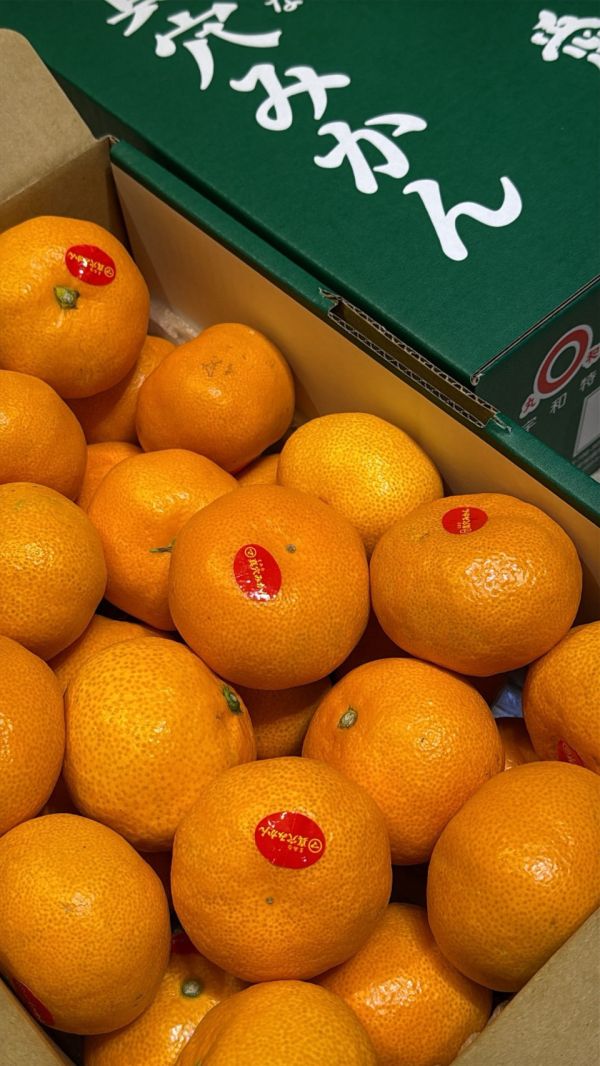 [甘甜多汁香氣十足][禮盒]日本愛媛真穴頂級柑3kg 日本愛媛真穴頂級柑3kg