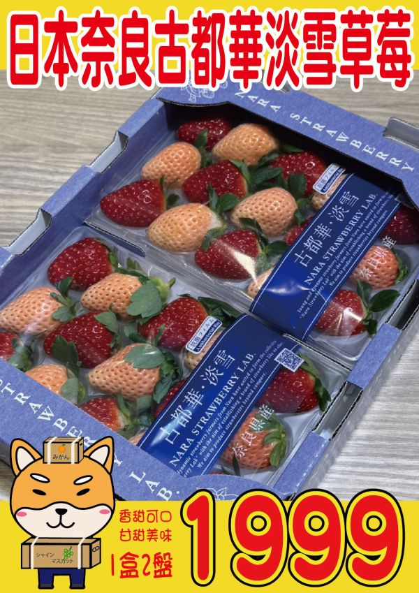 [隨機入數出貨]日本奈良草莓 奈良産いちご 古都華 淡雪 雙色 日本奈良草莓 奈良産いちご 古都華 淡雪 雙色