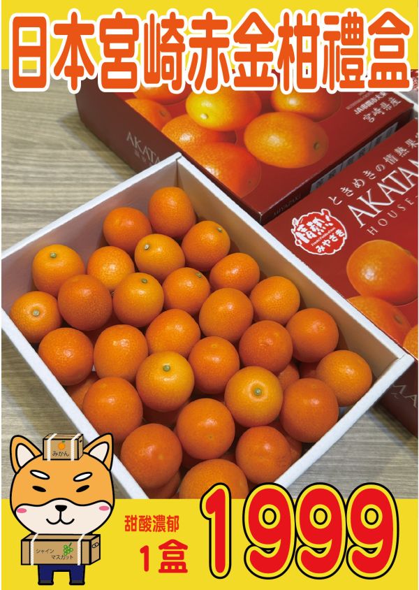 [清甜爽口檸檬香氣][禮盒式]日本宮崎赤金柑 日本宮崎赤金柑