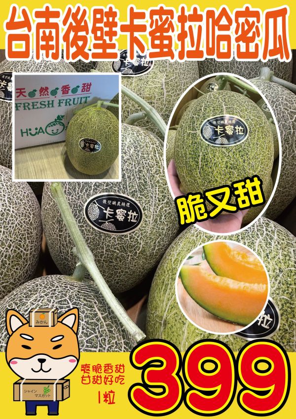 [獨特清脆甘甜感][可加購禮盒]台南後壁卡蜜拉橘肉哈密瓜 卡蜜拉哈密瓜,卡蜜拉洋香瓜,極光哈密瓜