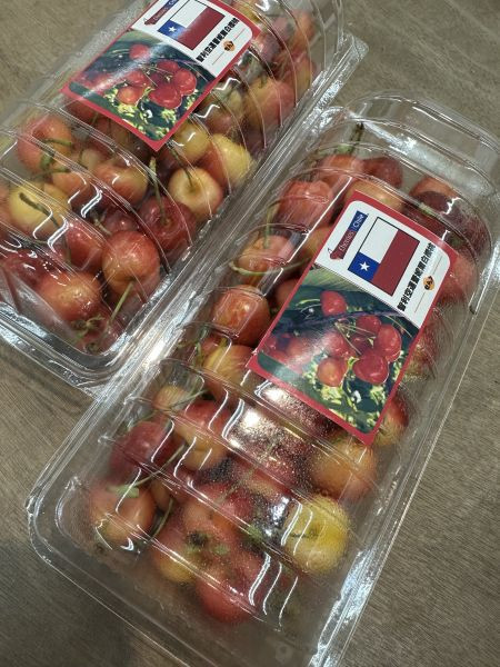 [脆甜清爽超人氣]智利空運蕾妮爾白櫻桃500g Chile Rainier Cherries 智利櫻桃,空運櫻桃,紐西蘭櫻桃,塔斯馬尼亞櫻桃,紅櫻桃,白櫻桃