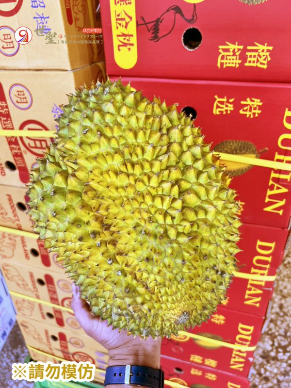 [鮮重6kg以上巨無霸][原裝箱1顆入][預購款]泰國巨砲金枕頭榴槤 Monthong 泰國榴槤,泰國金枕頭榴槤
