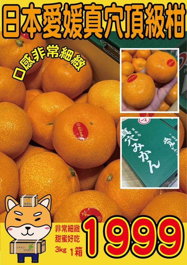 [甘甜多汁香氣十足][禮盒]日本愛媛真穴頂級柑3kg 日本愛媛真穴頂級柑3kg
