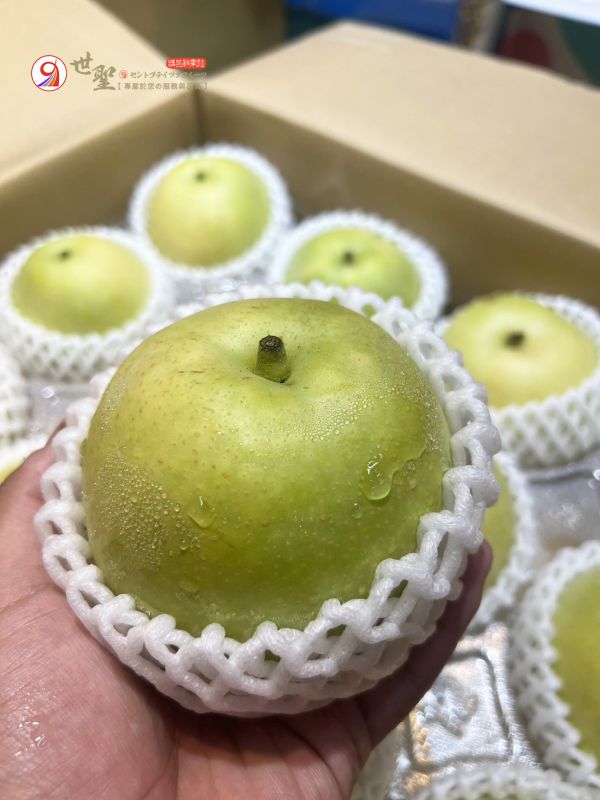[多汁爽脆清新不膩]日本鳥取二十世紀梨 二十世紀 にじっせいき 二十世紀梨,二十世紀,にじっせいき,青梨,鳥取梨