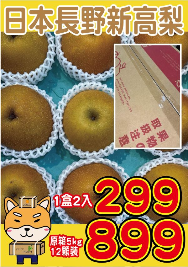 [爽脆甜度高]日本長野新高梨 日本長野新高梨