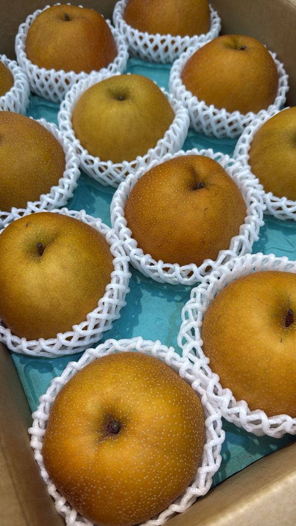 [爽脆甜度高]日本長野新高梨 日本長野新高梨