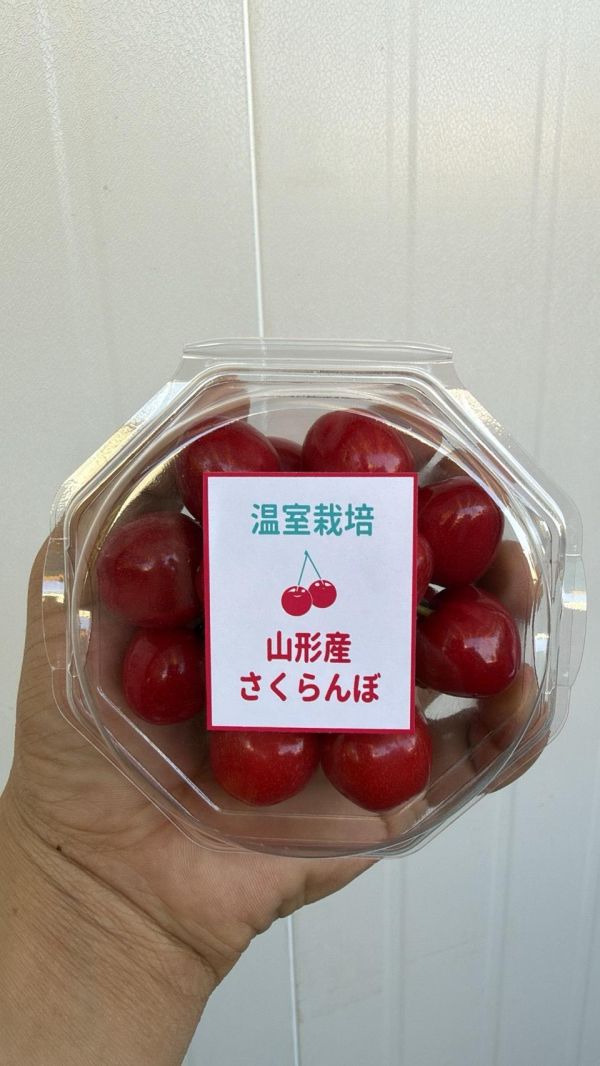 [日本頂級甘甜濃郁]日本山形佐藤錦櫻桃 日本山形佐藤錦櫻桃