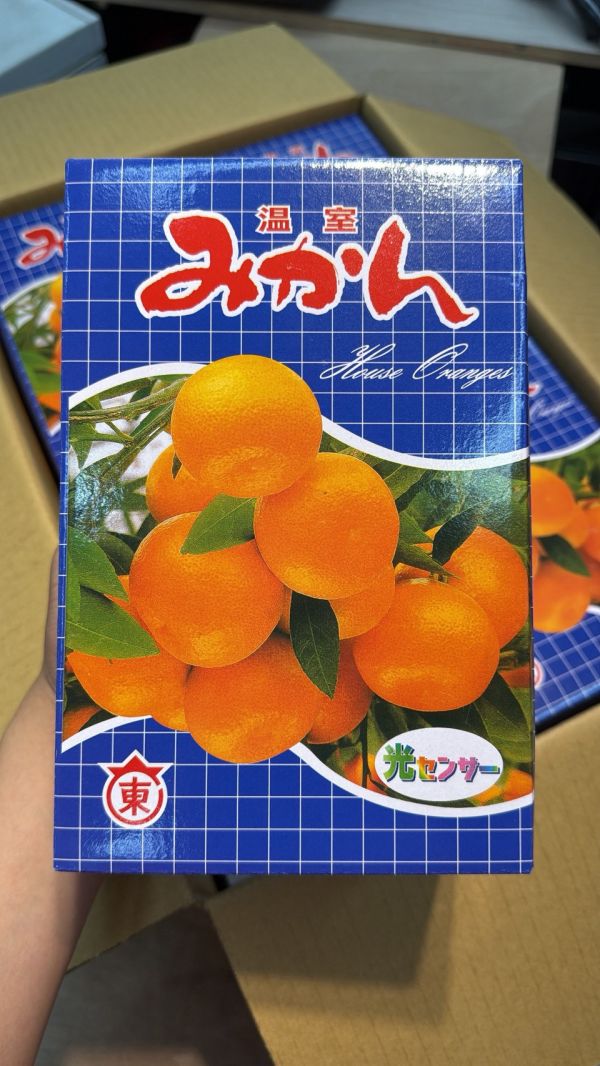 [無籽皮薄香甜多汁][禮盒式]日本佐賀東蜜柑 佐賀みかん 和歌山蜜柑,日本小橘子,日本蜜柑,溫室蜜柑,有田,佐賀蜜柑, 福岡蜜柑,北原早生,きたはらわせ,山川蜜柑