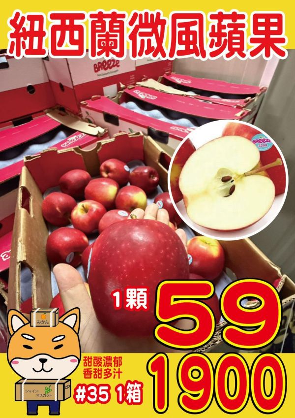 [清爽甘甜好吃]紐西蘭微風蘋果 紐西蘭微風蘋果