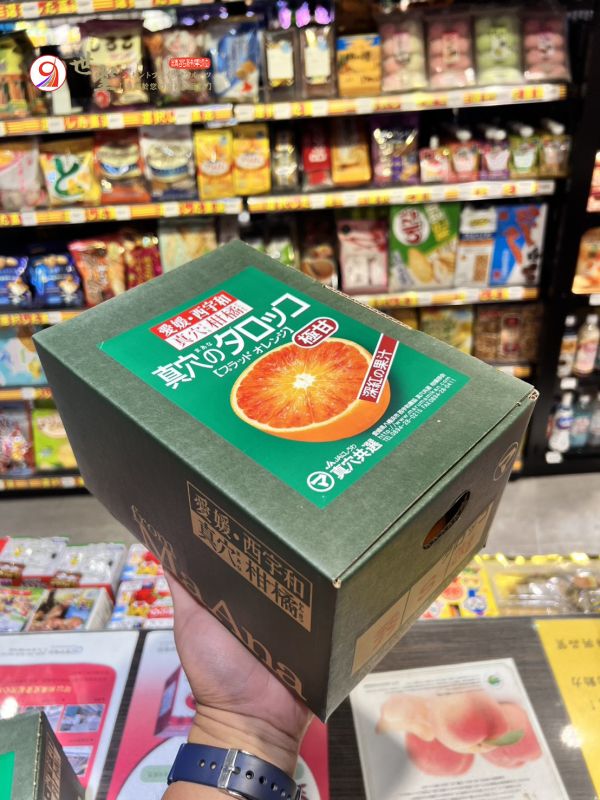 [琥珀色澤甘甜醇厚]日本愛媛真穴塔洛可血橙 タロッコ．ブラッド．オレンジ 愛媛蜜柑,日本蜜柑,日本小橘子,地中海血橙,Blood Orange