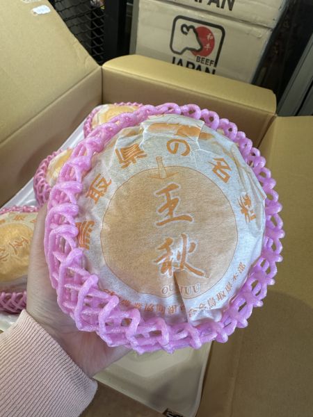 [爽脆多汁份量十足]日本鳥取縣產王秋梨 日本鳥取縣產王秋梨