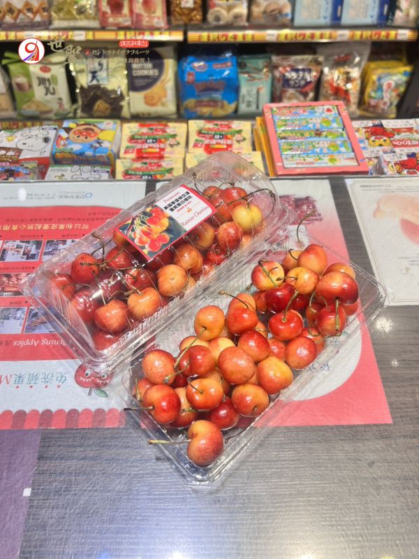 [清爽超人氣][嚐鮮盒]加拿大空運蕾妮爾白櫻桃 雷尼爾 US-WA Rainier Cherries [清爽超人氣][嚐鮮盒]加拿大空運蕾妮爾白櫻桃 雷尼爾 US-WA Rainier Cherries