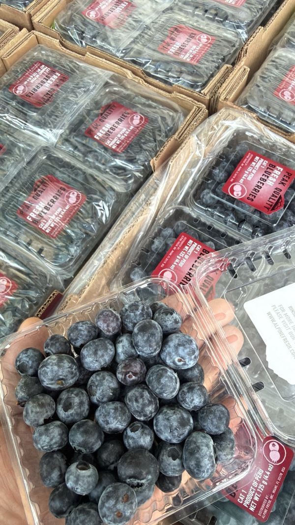 [甜酸均衡香氣佳]祕魯中果藍莓 Peru Blueberries 藍莓,祕魯中果藍莓,花青素