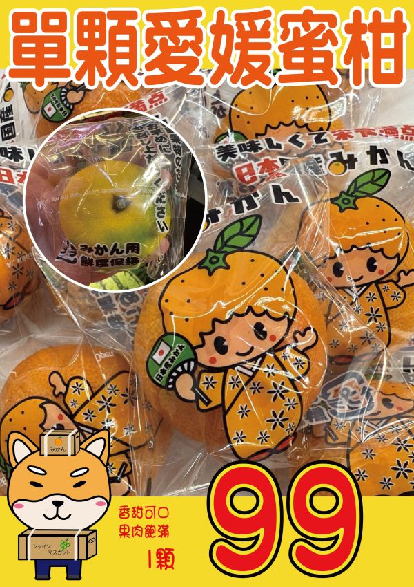 [甘甜多汁香氣十足][單顆]日本愛媛蜜柑 愛媛温室みかん 日本愛媛蜜柑家庭號