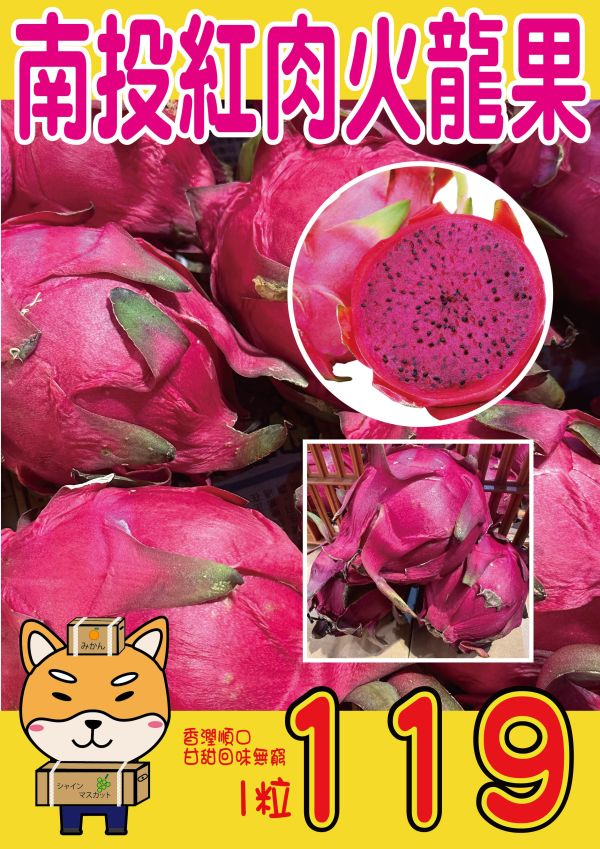 [低卡香甜]南投紅肉火龍果 紅龍果 糖尿病,抗氧化,功效,吃什麼