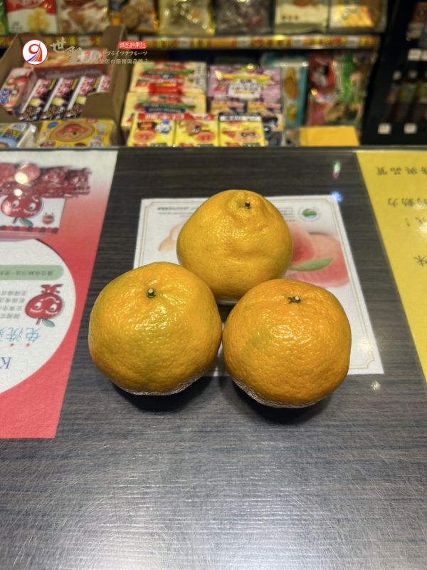[甜酸濃郁]台南東山李仔園椪柑 橘子 橘子,椪柑,台灣橘子