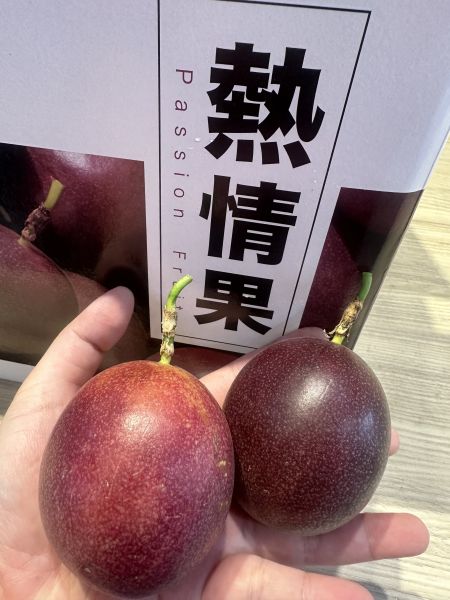 [經典風味]南投埔里熱情果 百香果 [濃郁香甜新品種]熱情果