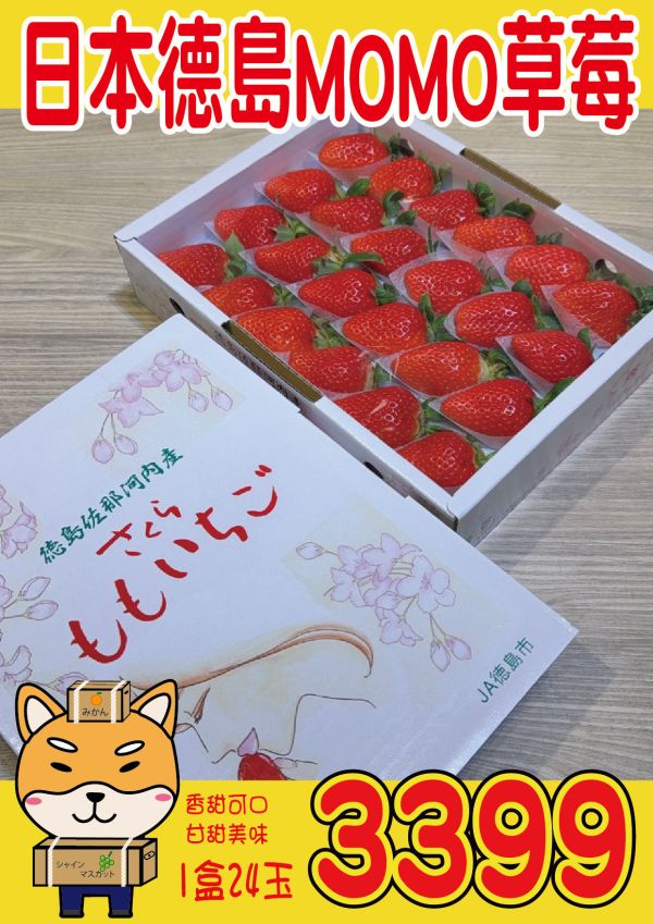 [甘甜香氣十足][禮盒式]日本德島Momo草莓 さくらももいちご 櫻花水蜜桃草莓 櫻桃草莓 日本草莓,德島草莓,德島櫻花水蜜桃,德島水蜜桃,Momo