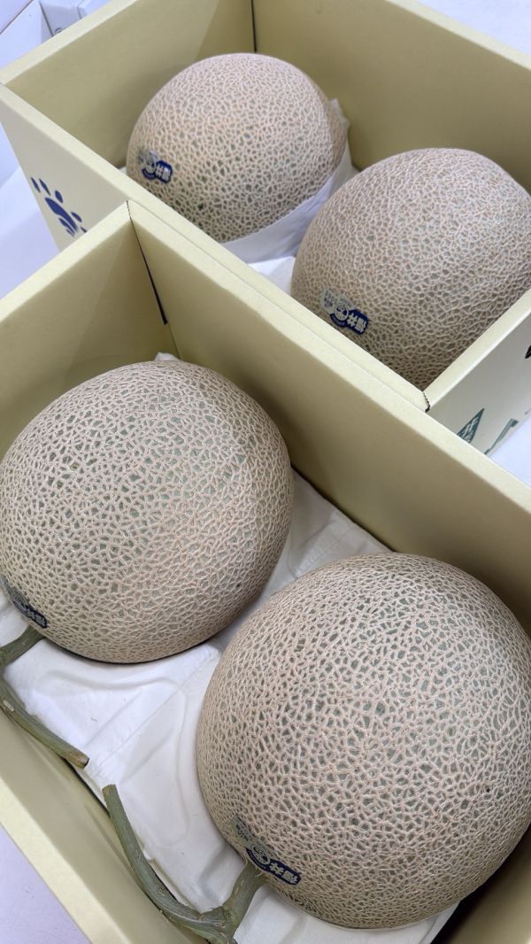 [細膩柔軟芳香甘甜]日本福井溫室青肉哈 密瓜 福井産アールスメロン 日本阿露絲哈密瓜 日本福井哈密瓜